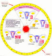 Calculer sa date d ovulation - Fiche pratique - Femme