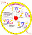 Calculer sa priode d ovulation - Sant-Mdecine