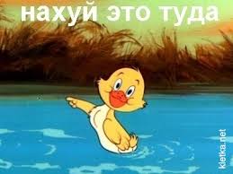 images?q=tbn:ANd9GcRin5SA3LwdMOqn4Iw9wZl9bLs7kGMfaZxZSyU564wjJHRlQpmAQA