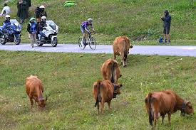 Cyclingnews - News update