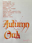 Diamine Autumn Oak (30ml Bottled Ink) - Goulet Pens