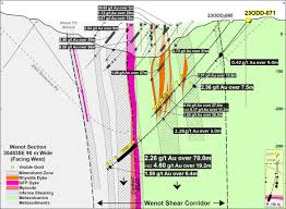 Significant Gold Mineralization at Omai Gold Mines’ Wenot West Extension Project Revealed Through Impressive Drill Results