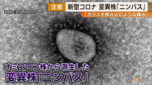 Yahoo!ニュース - News update