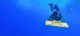The Australian Institute of Marine Science | AIMS - News update
