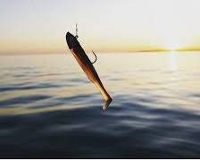 Image of Drift Shad lure in water