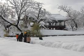 강원도 고립공원 /태백산 설경속의 눈꽃 세상에 대한 이미지 검색결과