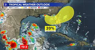 WINK News - News update