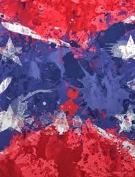 Image result for columbia 2010 confederate battle flag rally