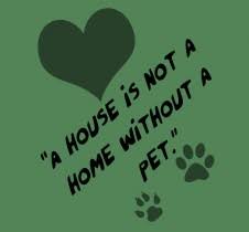 pet-quotes-1.jpg via Relatably.com
