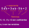 Concepto de polinomio y sus elementos -