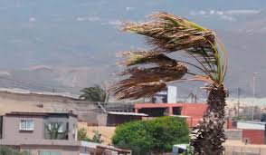 Diario de Avisos - News update