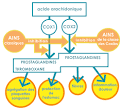 Anti inflammatoires steroidiens