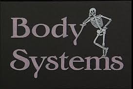 Image result for 11 system of body