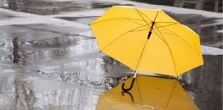 Comune di Genova - News update