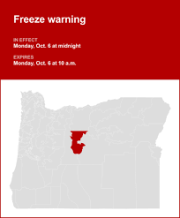 Freeze Warnings Issued Across the US: How to Prepare