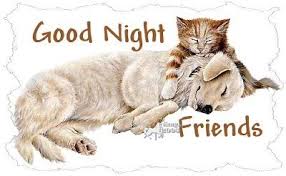 Bildresultat för good night