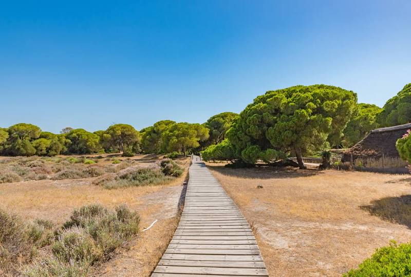 Parque Nacional de Doñana