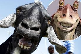 Résultat de recherche d'images pour "star wars aliens"