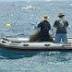 Shark nets being removed on Coast due to dangerous weather