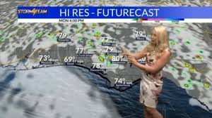 Warm and humid with isolated shower chances