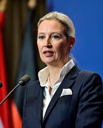 German far-right leader is a Chinese-speaking economist with ...