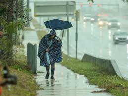 Tampa Bay Times - News update