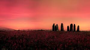 Image result for n stephen king