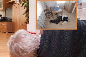 Résultat de recherche d'images pour "fall detector for elderly"