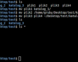 Obraz: Polecenie mv w terminalu Linux