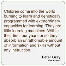 Image result for play is the highest form of research poster