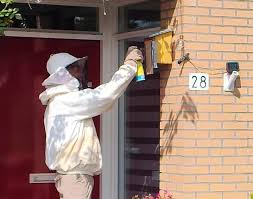 AD.nl - News update