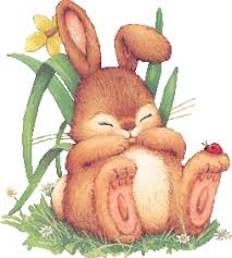 Résultat de recherche d'images pour "gif lapin"