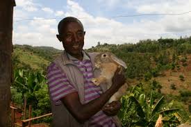 A hard sell? Microfinance for water and sanitation