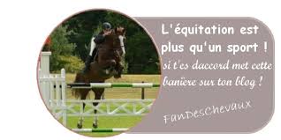 Résultat de recherche d'images pour "l'équitation"