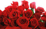 Valentines Day Flowers, Valentines Flowers Delivered from Interflora