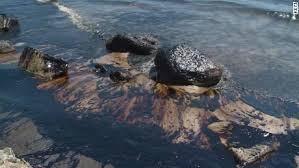 Image result for us oil spills 2015
