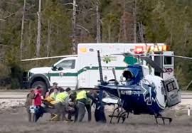 Two Hikers Injured in Yellowstone Bear Attack