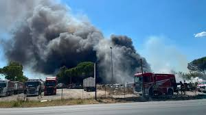 Trend Google: incendio grosseto