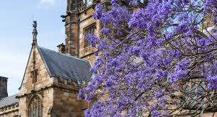 The University of Sydney - News update