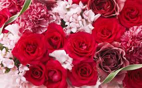 Image result for flowers gifts hd images