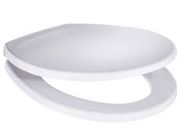 Roca Victoria Soft Close Seat White from Reece