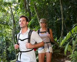 Image of jungle trekking in Cambodia