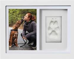 pet owner holding a memorial photo frame with their pet's pictureの画像