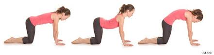 Image result for yoga breathing in heads down