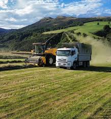 waipounamu contracting — trending on Google in New Zealand