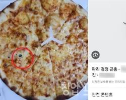 피자 관련 커뮤니티