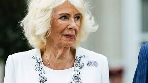 La regina Camilla per la storica visita dei reali britannici negli Stati Uniti tira fuori dallo scrigno una spilla con due bandiere, che racconta l'amicizia tra i due paesi