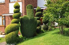 images?q=tbn:ANd9GcRkqH54eqEWIRrTwiX9kXc0fJzEUHlfE9iY8-zrhPJABU0VsvRR