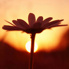 Image result for ΑΓΑΠΗ