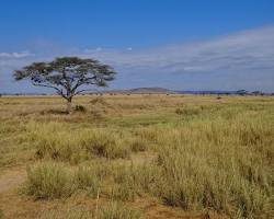 Serengeti National Park